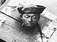 河北流量王商贸有限公司
