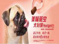 河北流量王商贸有限公司