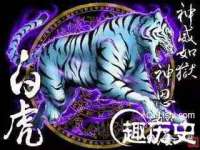 河北流量王商贸有限公司
