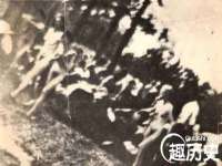 河北流量王商贸有限公司