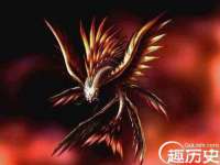 河北流量王商贸有限公司