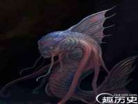 河北流量王商贸有限公司