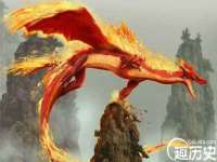 河北流量王商贸有限公司