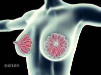 河北流量王商贸有限公司