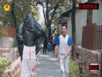 河北流量王商贸有限公司