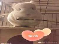 河北流量王商贸有限公司