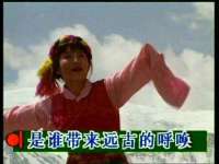河北流量王商贸有限公司