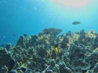 河北流量王商贸有限公司