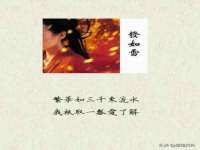 河北流量王商贸有限公司