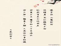 河北流量王商贸有限公司