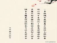 河北流量王商贸有限公司