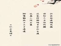 河北流量王商贸有限公司