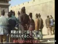 河北流量王商贸有限公司