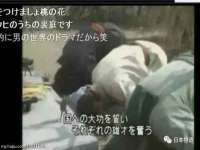 河北流量王商贸有限公司