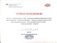 河北流量王商贸有限公司