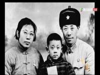 河北流量王商贸有限公司