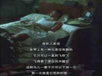 河北流量王商贸有限公司