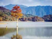河北流量王商贸有限公司