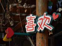 河北流量王商贸有限公司