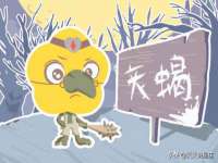 河北流量王商贸有限公司