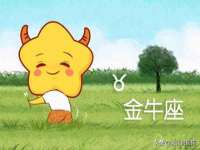 河北流量王商贸有限公司