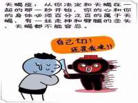 河北流量王商贸有限公司