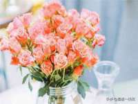 河北流量王商贸有限公司
