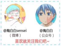 河北流量王商贸有限公司