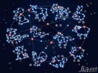 河北流量王商贸有限公司
