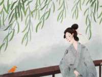 河北流量王商贸有限公司