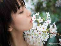 河北流量王商贸有限公司