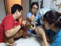 河北流量王商贸有限公司
