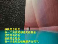 河北流量王商贸有限公司