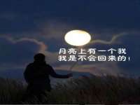 河北流量王商贸有限公司