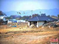 河北流量王商贸有限公司
