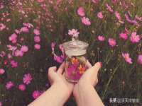 河北流量王商贸有限公司