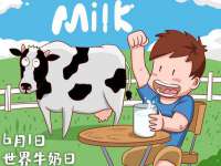 河北流量王商贸有限公司