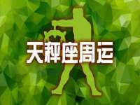 河北流量王商贸有限公司