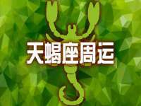 河北流量王商贸有限公司