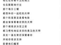 河北流量王商贸有限公司