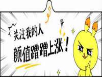 河北流量王商贸有限公司