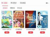河北流量王商贸有限公司