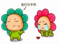 河北流量王商贸有限公司