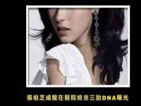 河北流量王商贸有限公司