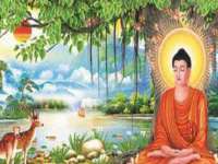 河北流量王商贸有限公司
