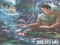 河北流量王商贸有限公司