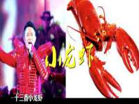 河北流量王商贸有限公司