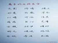 河北流量王商贸有限公司