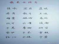 河北流量王商贸有限公司