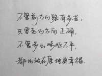 河北流量王商贸有限公司